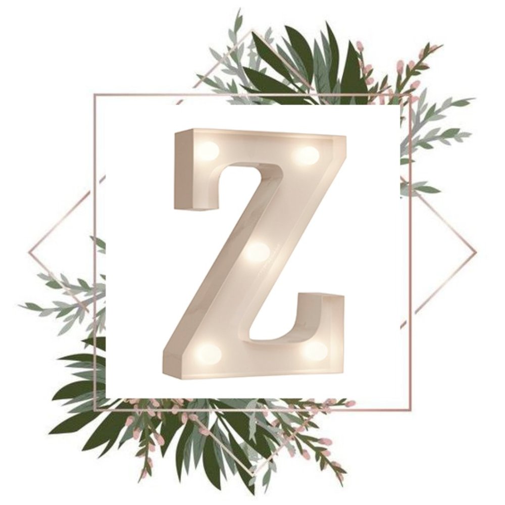 Z | White standing Z letter led light